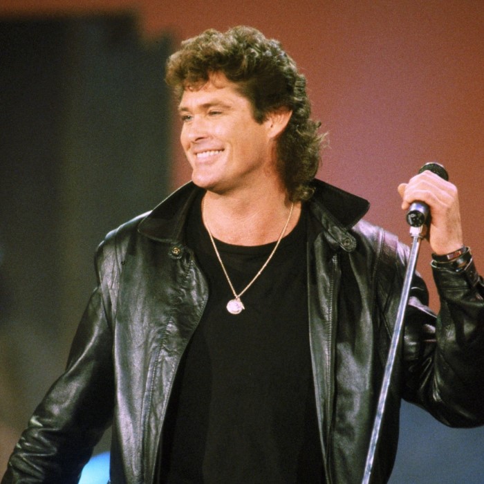 David Hasselhoff