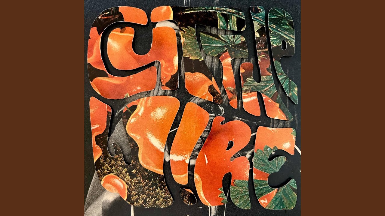 Cut The Wire! - Fuzzy Teeth, Plonki - 2026-02-06
