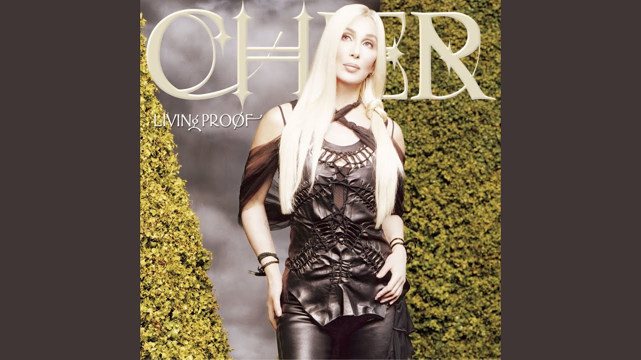Cher - Different Kind of Love Song