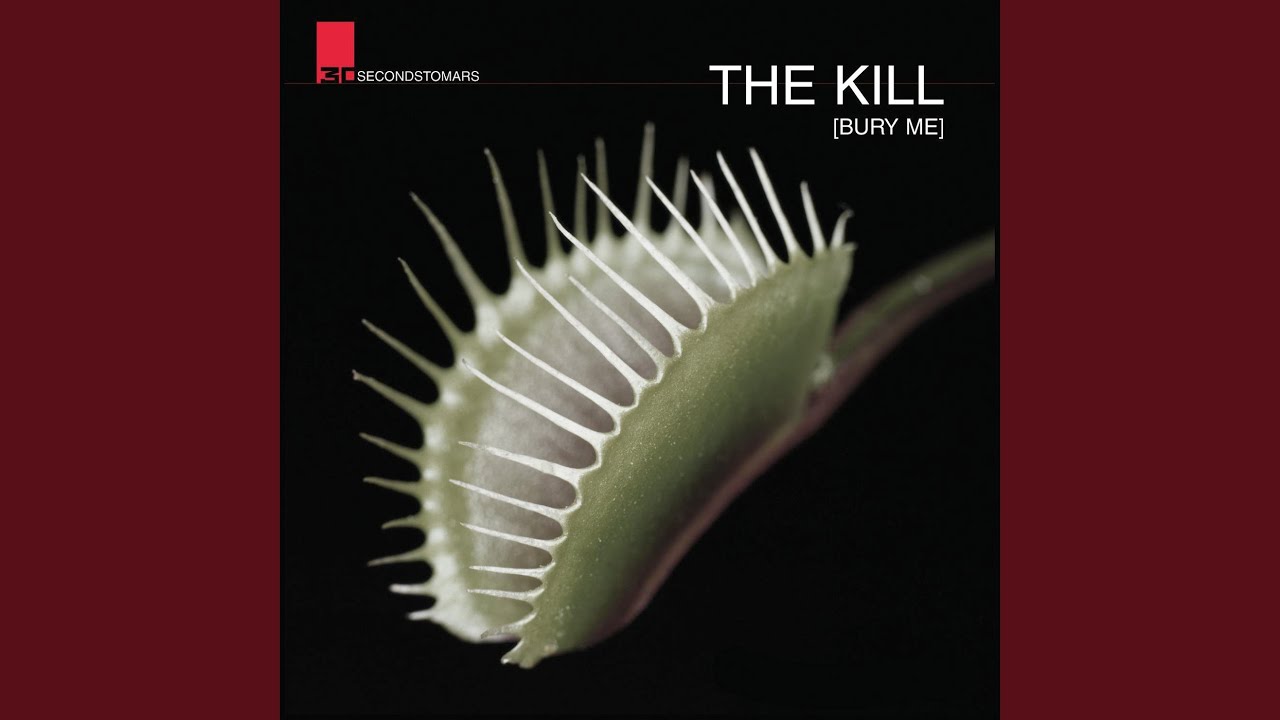 30 Seconds To Mars - The Kill (Bury Me)