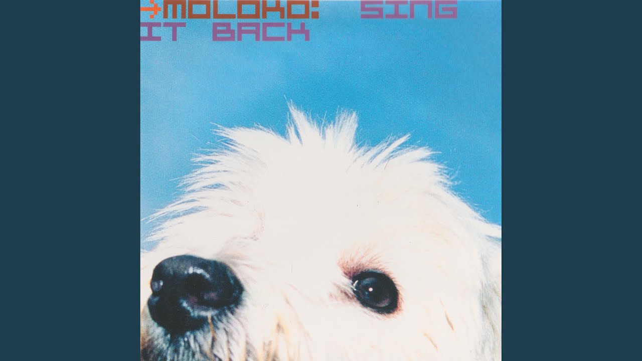 Moloko - Sing It Back (Booker T Loco Mix)