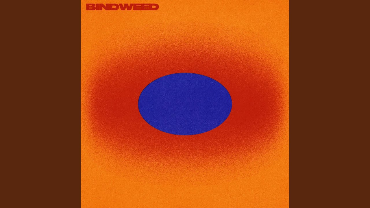 Bindweed - Dusky - 2026-08-21