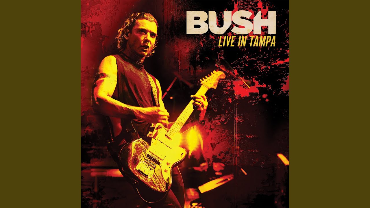 Bush - THE CHEMICALS BETWEEN US