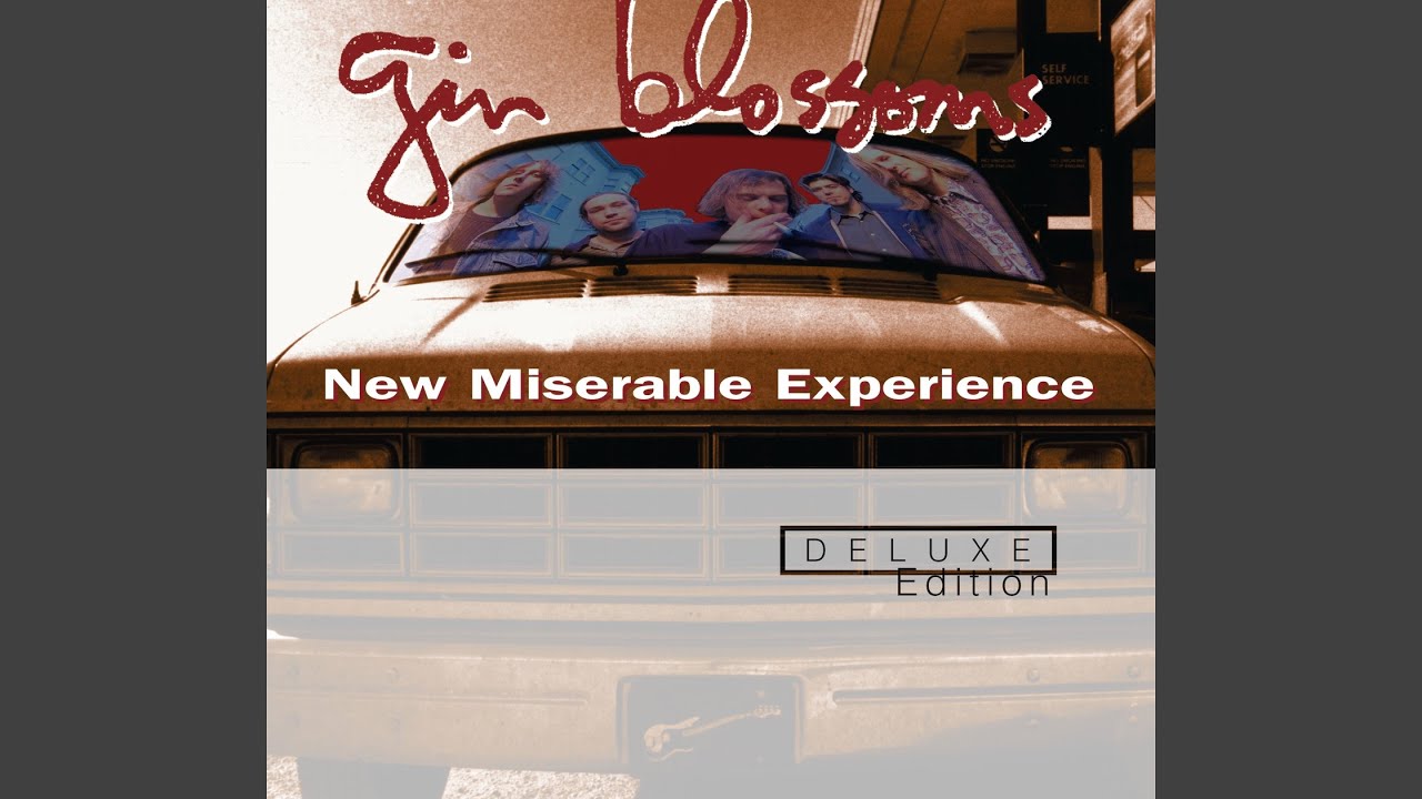 Gin Blossoms - HEY JEALOUSY