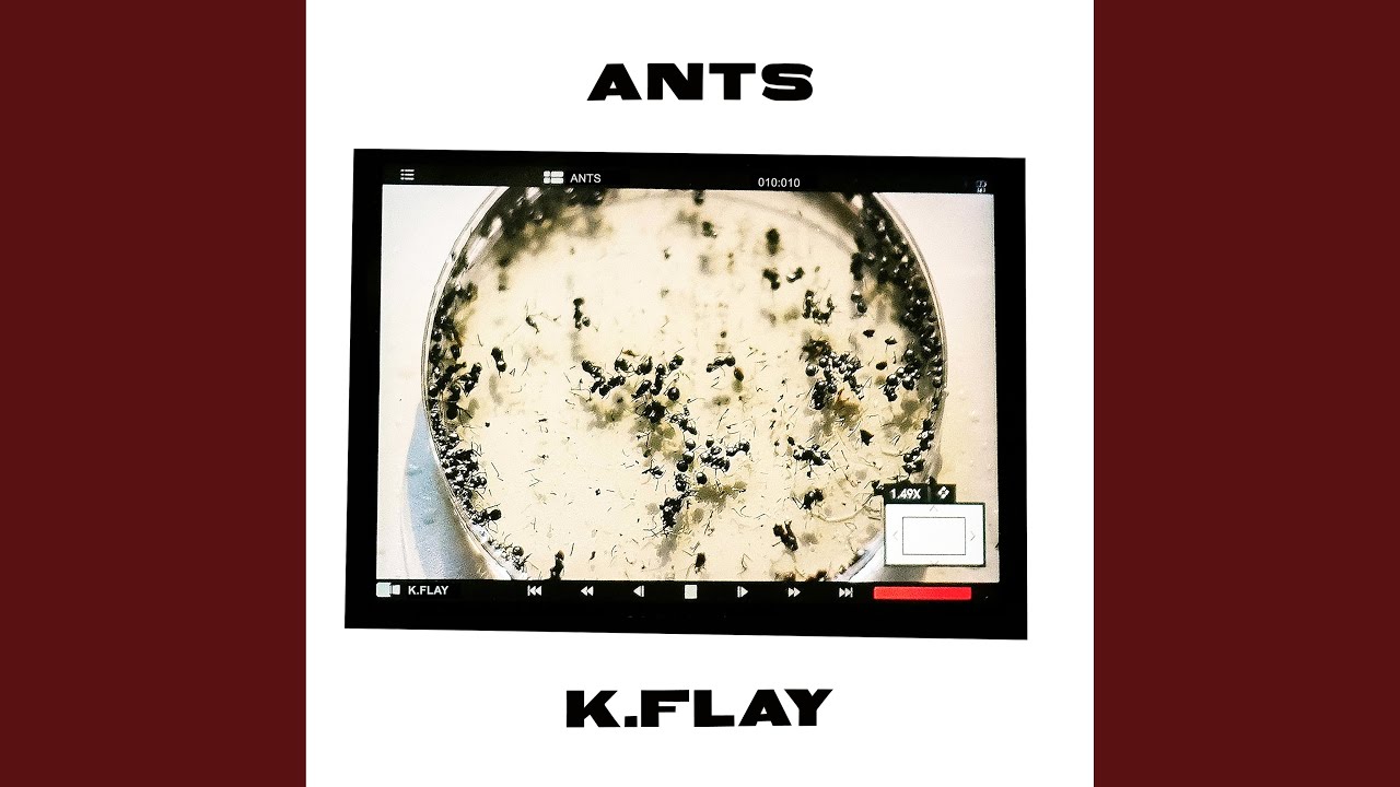 K.FLAY - ANTS