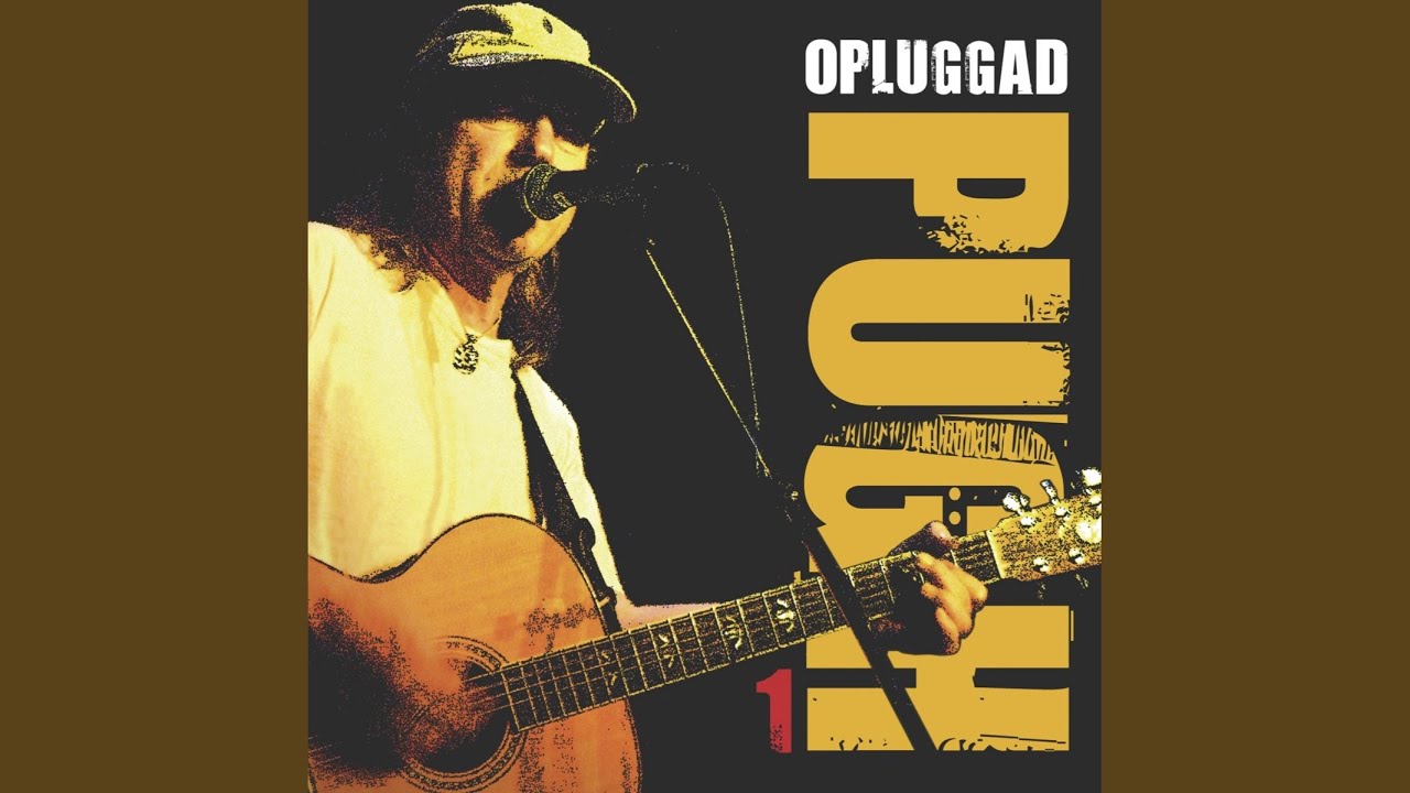 Cover van Vandrar I Ett Regn