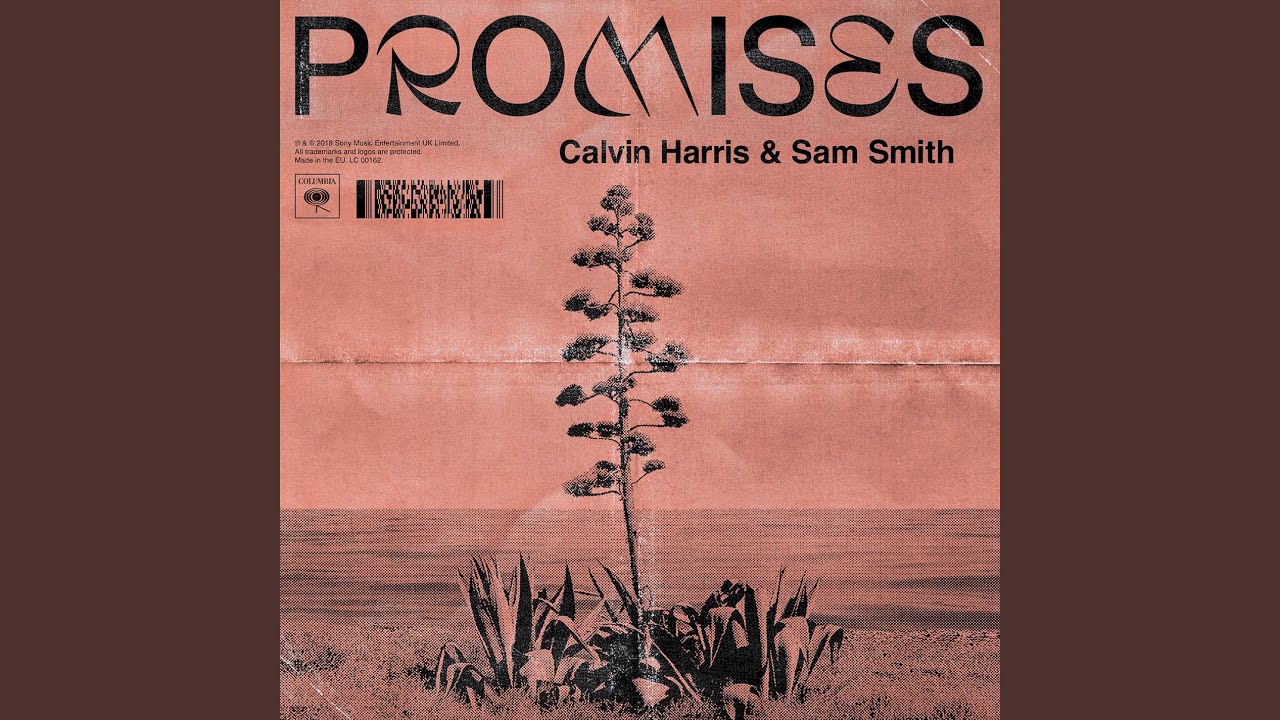 Calvin Harris - Promises