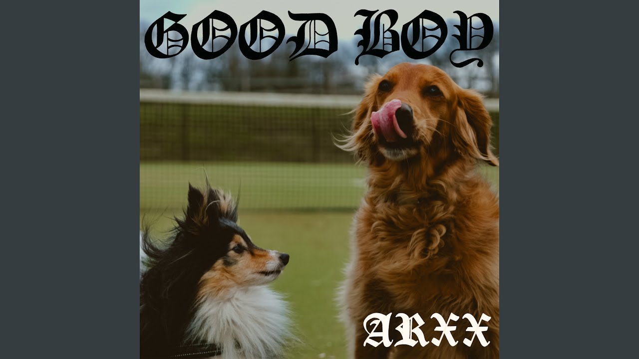 Good Boy - Arxx - 2024-06-19