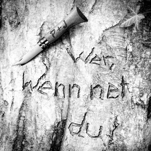 PIZZERA & JAUS - WER, WENN NET DU
