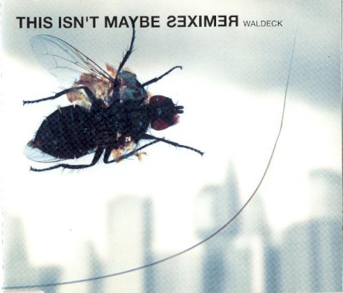 This Isn't Maybe