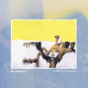 Blackwave. Feat. Abhi The Nomad - a-okay