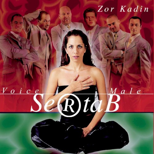 Cover van Zor kadin