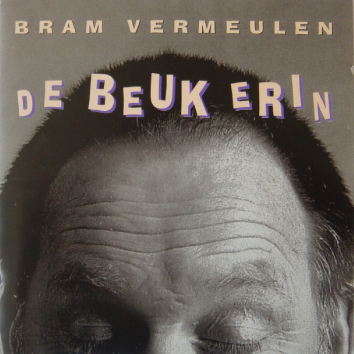Bram Vermeulen - Het gaat goed zo