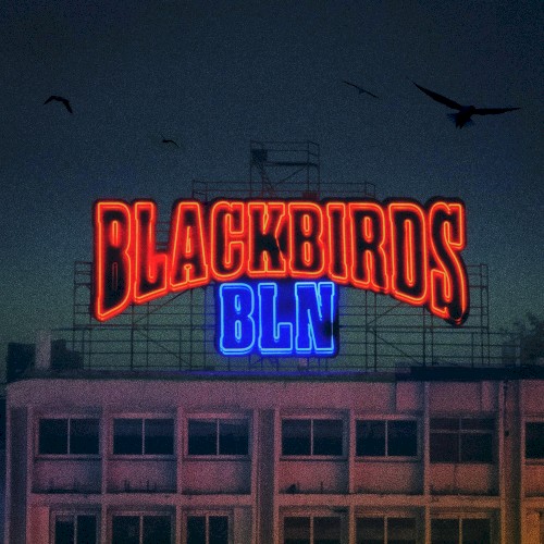 Blackbirds Bln
