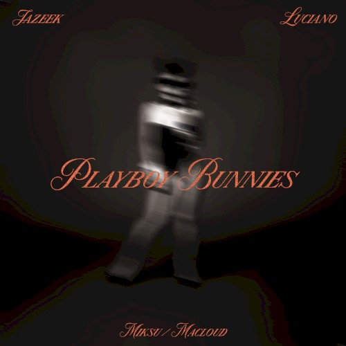 JAZEEK & LUCIANO & MIKSU / MACLOUD - PLAYBOY BUNNIES