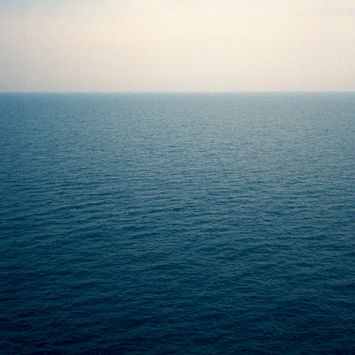 Maxime Denuc - The Shore