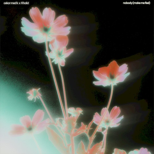 Nobody (make Me Feel)