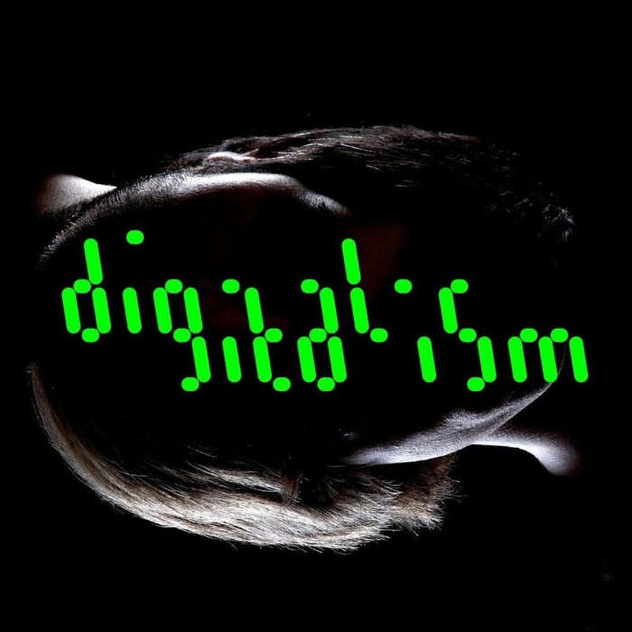 Digitalism - Zdarlight (Discodrome edit)