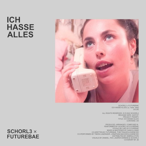 Ich Hasse Alles