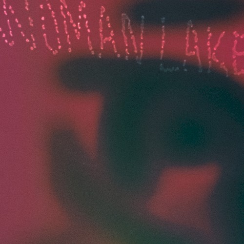 Woman Lake