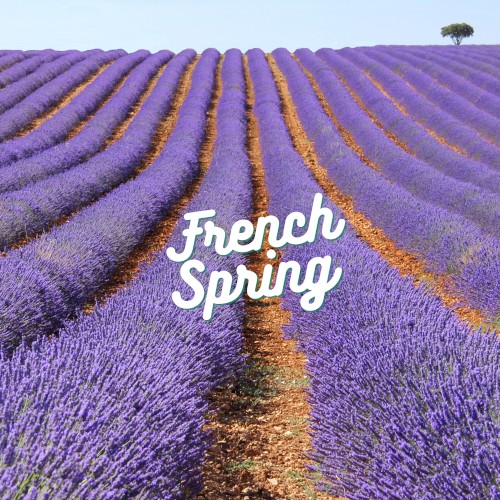 Monde Nouveau