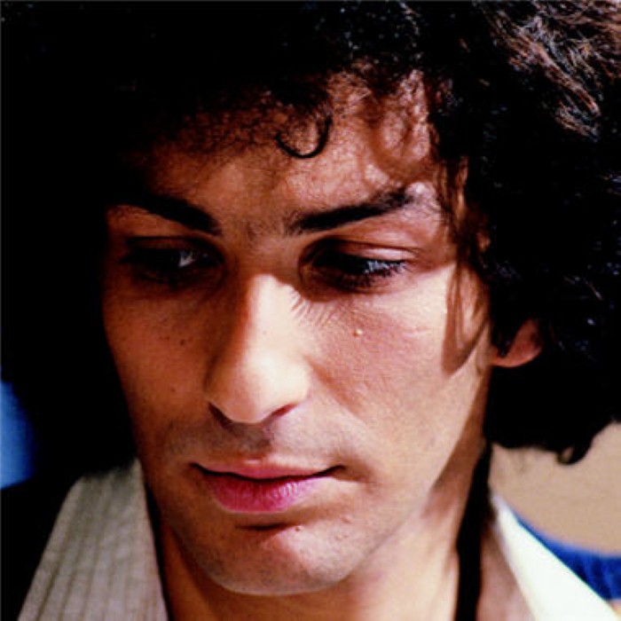 Michel Berger - Celui qui chante