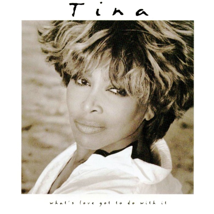 TINA TURNER - Disco Inferno