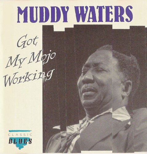 Muddy Waters - Rollin' Stone