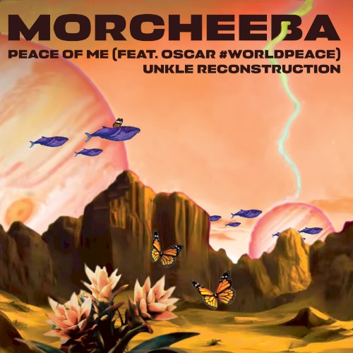 Cover van Peace Of Me (unkle Reconstruction)