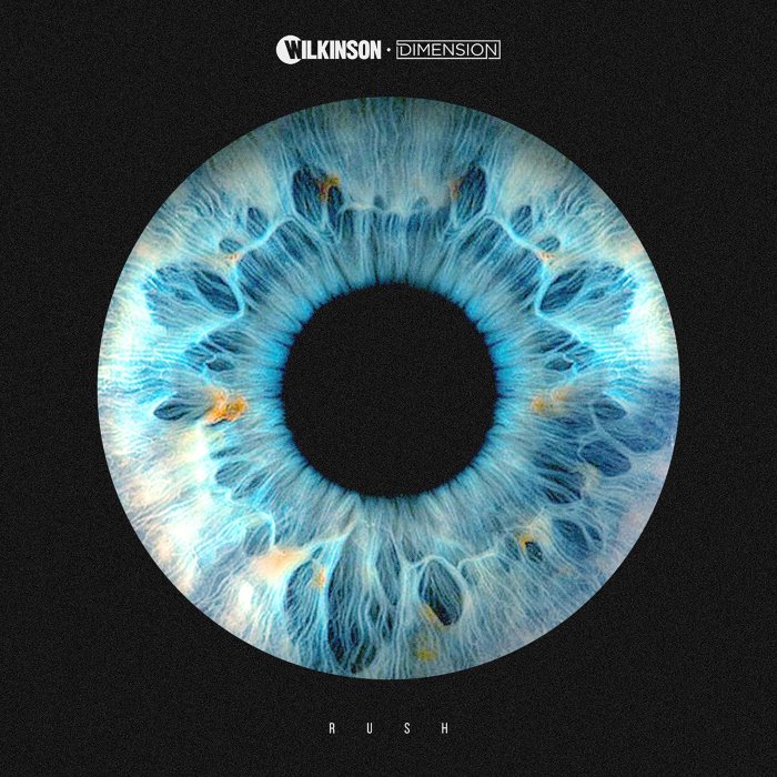 Wilkinson & Dimension - Rush