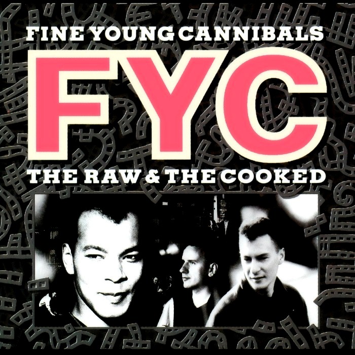 FINE YOUNG CANNIBALS - GOOD THING