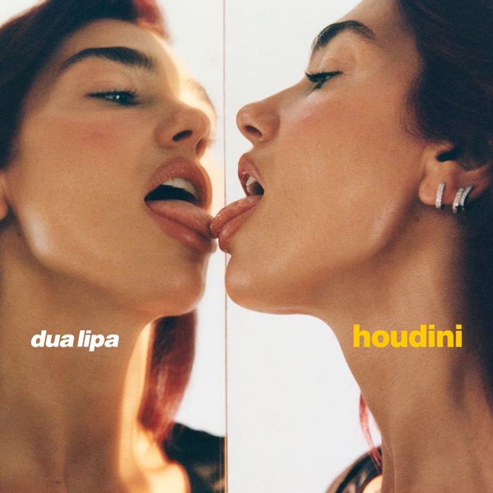 Dua Lipa - Houdini (Extended Edit)