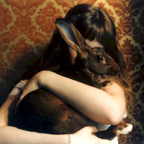 Florence Road - Miss