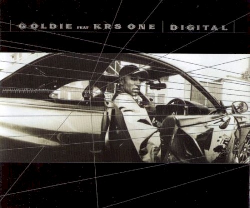 Goldie & KRS-One - Digital (Armand Van Helden Mix)