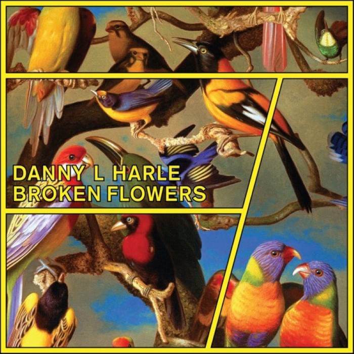 Danny L Harle - BROKEN FLOWERS