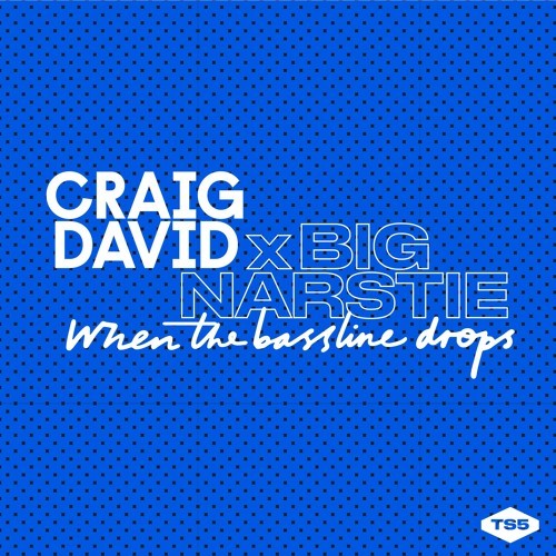 CRAIG DAVID - When The Bassline Drops