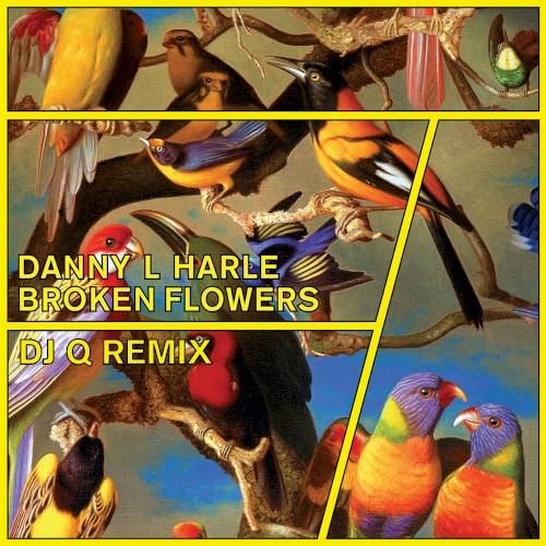 Danny L Harle - Broken Flowers (DJ Q Remix)