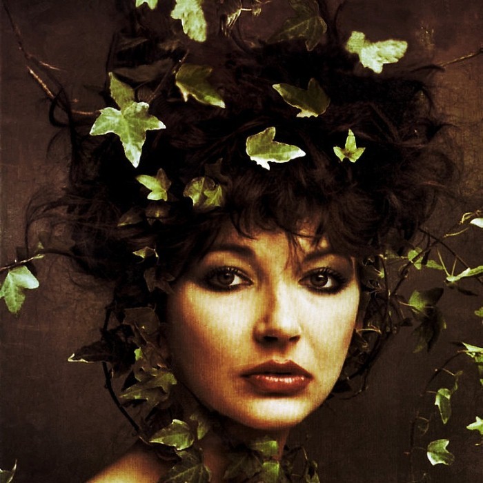 Kate Bush - Sexual Healing