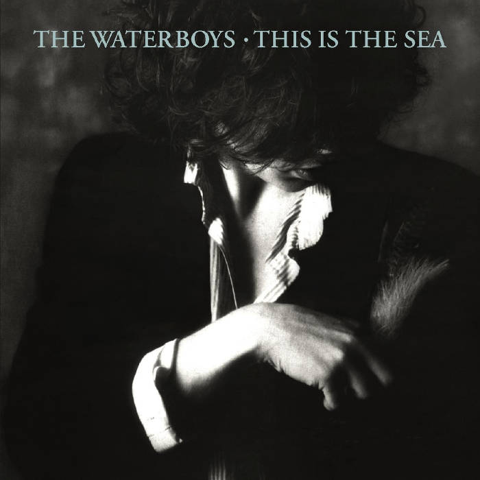 The Waterboys - THE PAN WITHIN