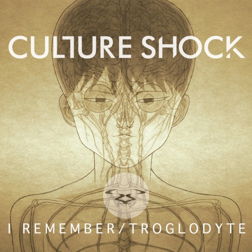 Culture Shock - I Remember
