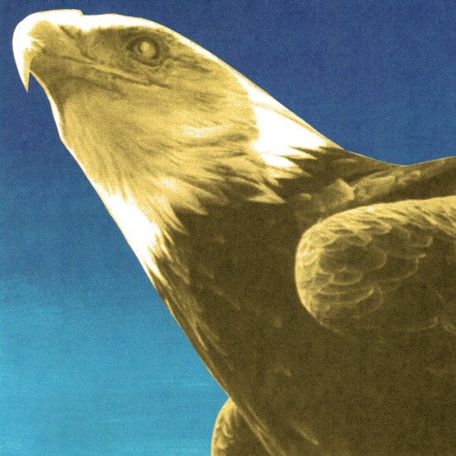 Protomartyr - Exalted Eagles