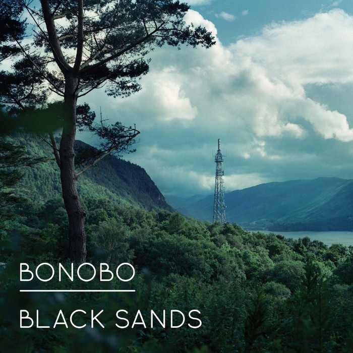 Bonobo Feat. Andreya Triana - Stay The Same