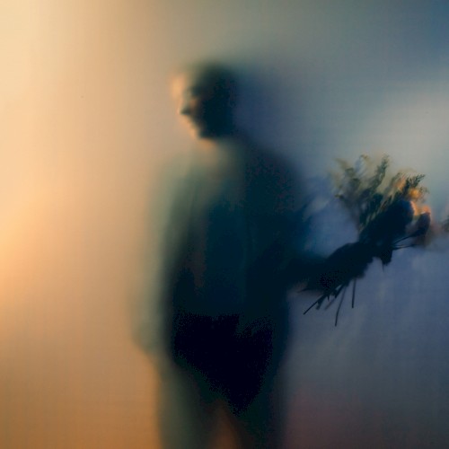 Cover van Hiding