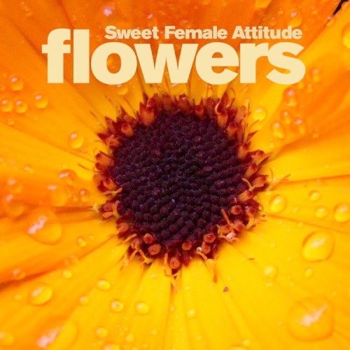 Flowers (sam Divine & Curtis Gabriel Remix)