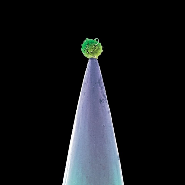 Peter Gabriel, Paul Buchanan & Elizabeth Fraser - Downside Up