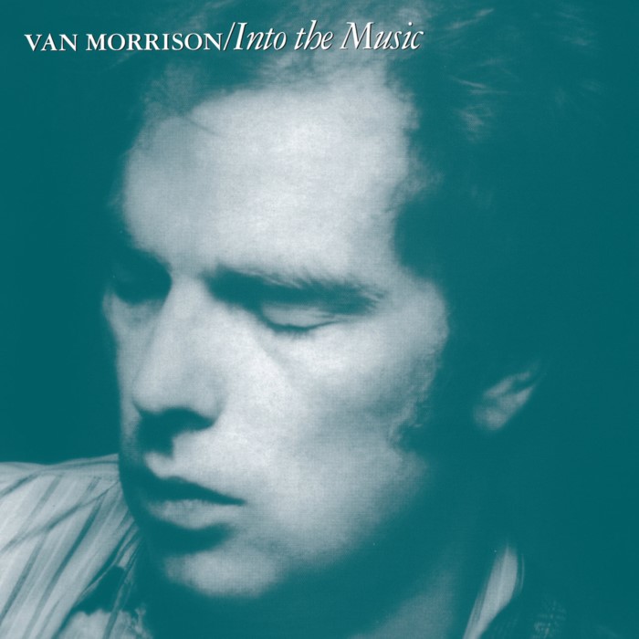 Van Morrison - Full Force Gale