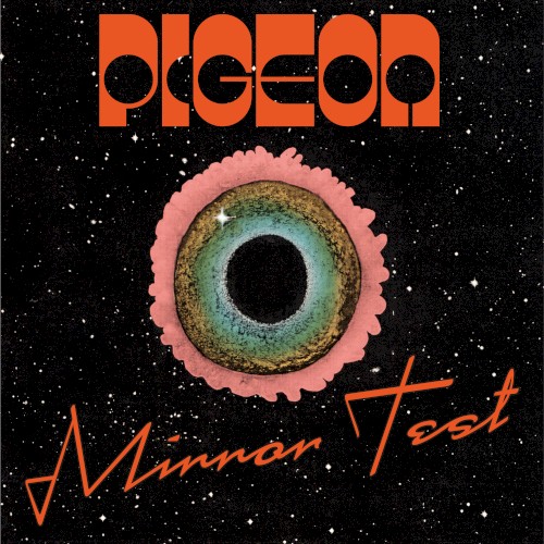 Mirror Test - Pigeon - 2026-02-26