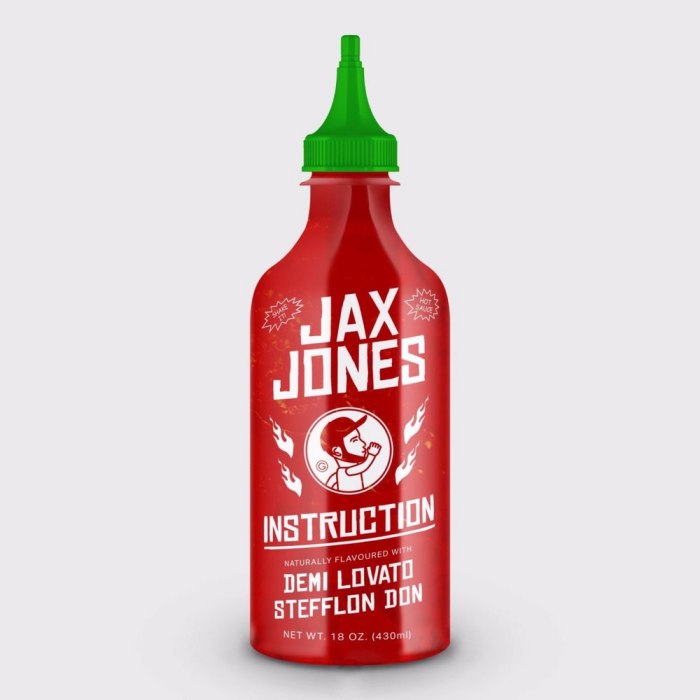 Jax Jones Feat. Demi Lovato & Stefflon... - Instruction