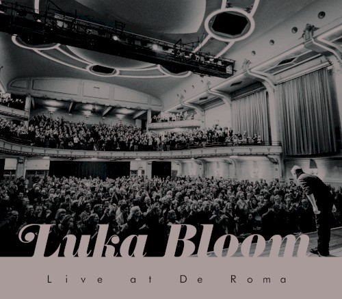 Luka Bloom - You Couldn’t Have Come at a Better Time