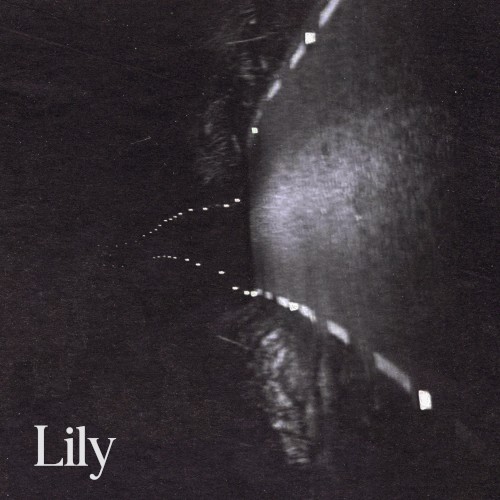 Lily (radio Edit)
